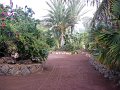 IMGP0930