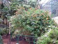IMGP0941