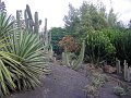 IMGP1156