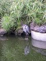 IMGP1226