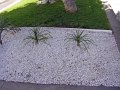 IMGP1310