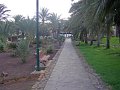 IMGP1405
