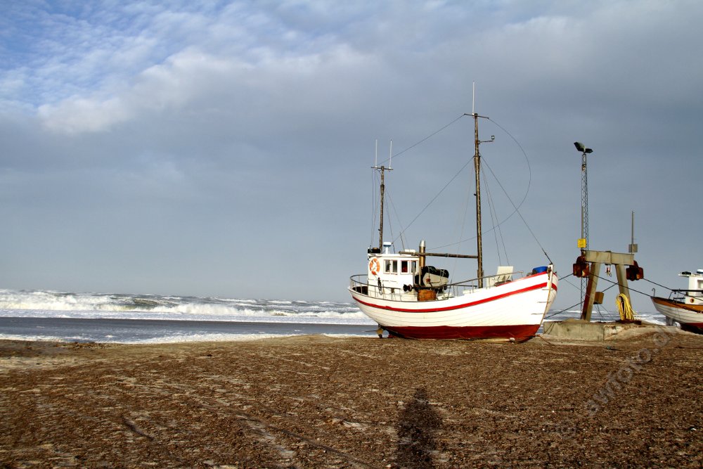 IMG_6800.JPG