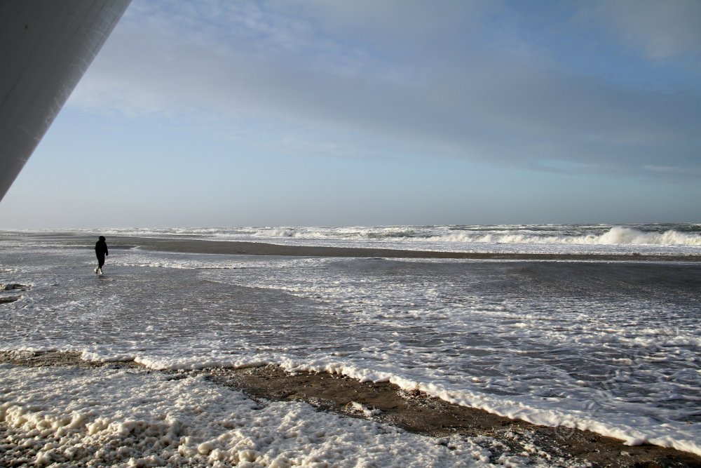 IMG_6810.JPG