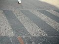 P6060011