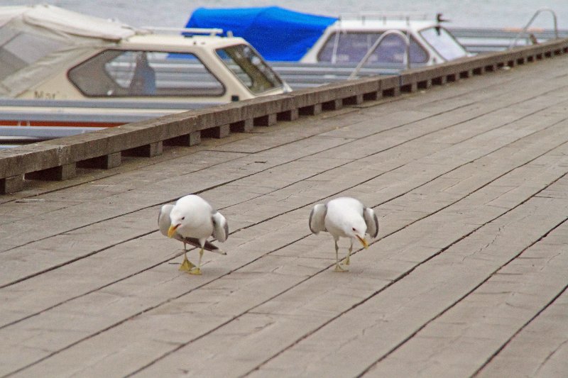 IMG_5103.JPG