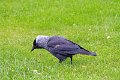 IMG_5081