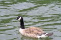 IMG_5100