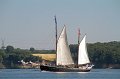 IMG_1224