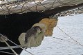 IMG_0767