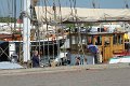 IMG_0790
