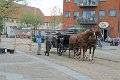 IMG_0963