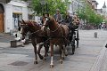 IMG_0973