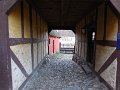 DSCN1877