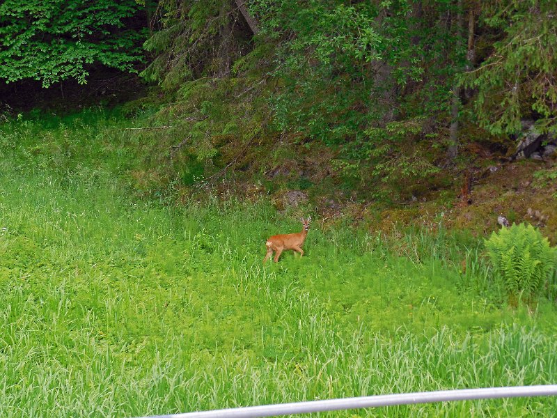 DSCN0795.JPG
