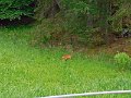 DSCN0795