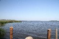 IMG_0230