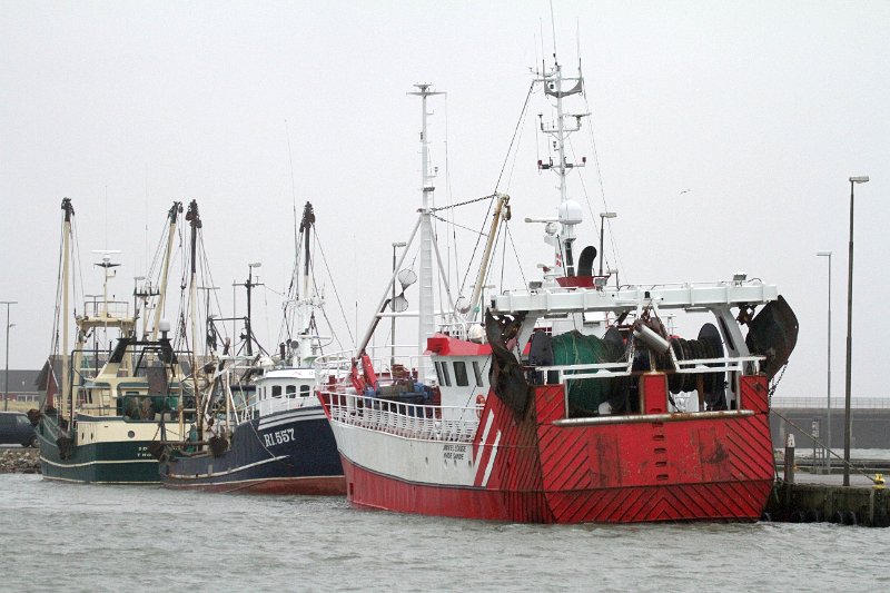 IMG_2042.JPG - Motiv fra Hvide sande havn