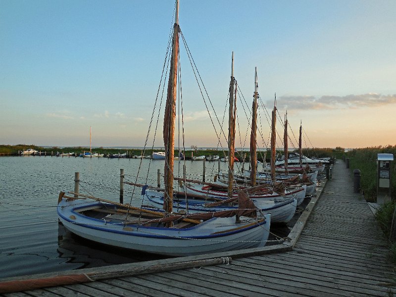 DSCN1567.JPG