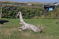 IMG_8656