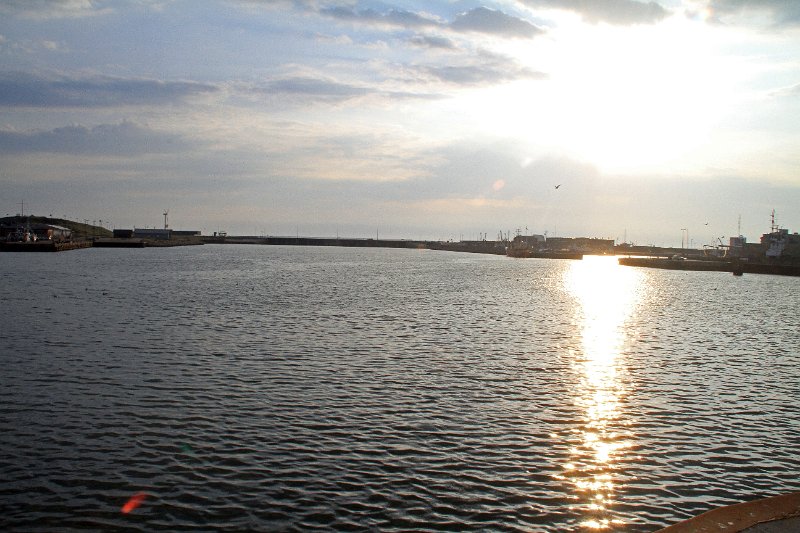 IMG_3911.JPG