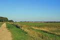 IMG_3804