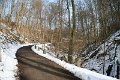 IMG_4654
