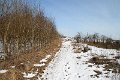 IMG_4661