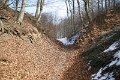 IMG_4665