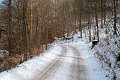 IMG_4669