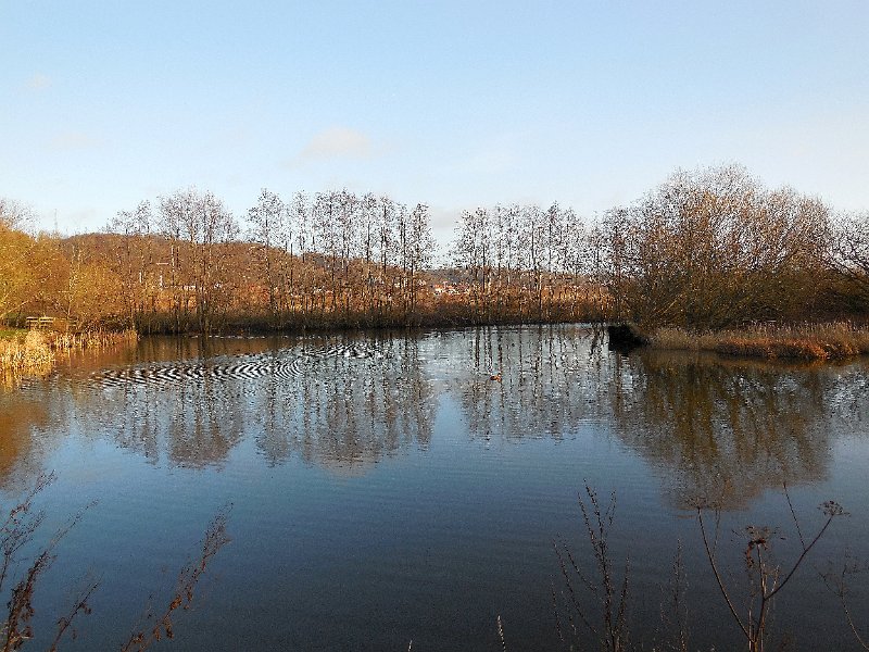 DSCN0407.JPG