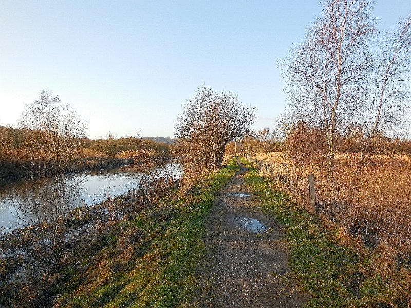 DSCN0415.JPG