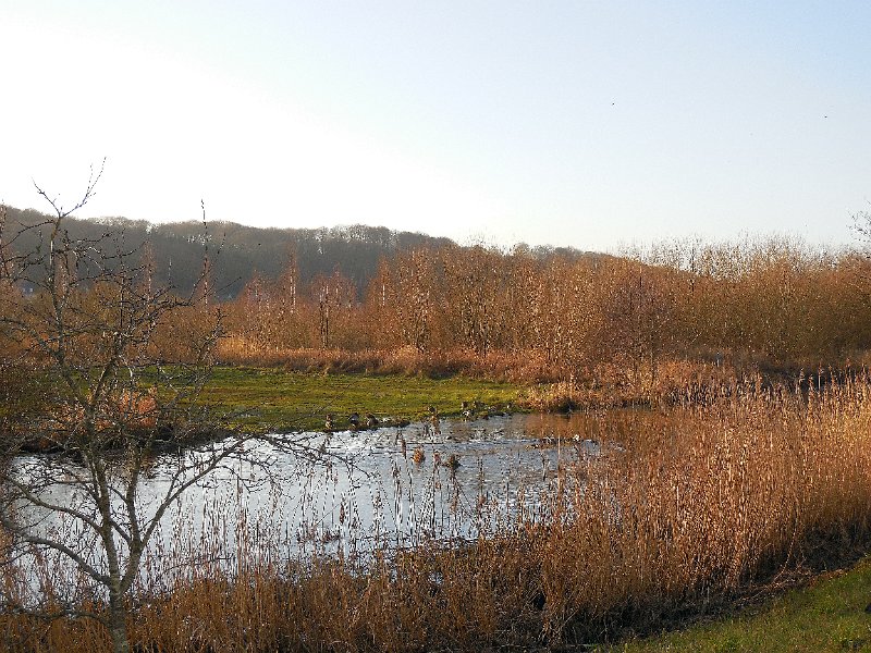 DSCN0419.JPG