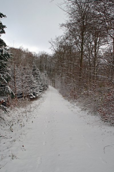 IMG_8297.JPG