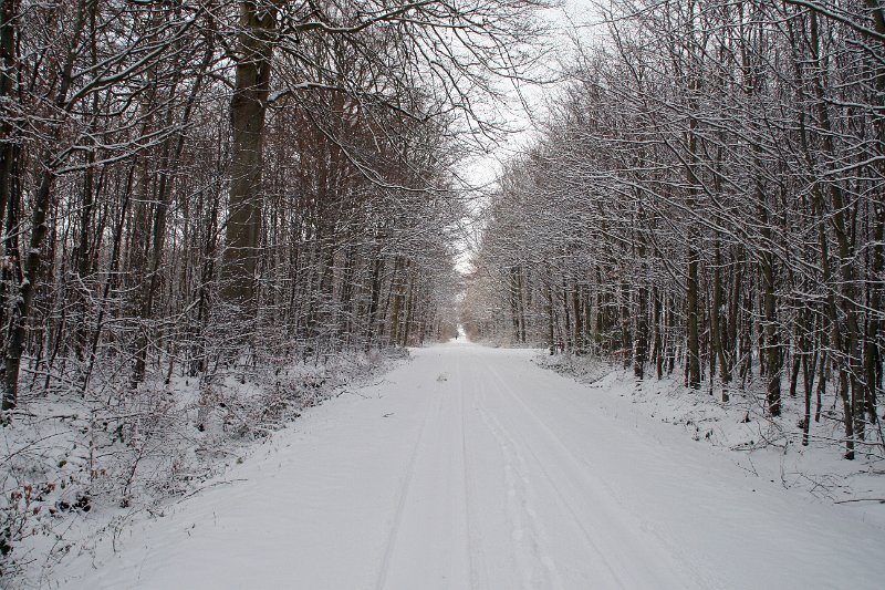 IMG_8318.JPG