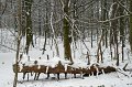 IMG_8277