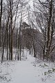IMG_8281