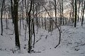 IMG_8282