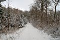 IMG_8298