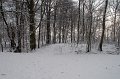 IMG_8302