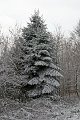 IMG_8308