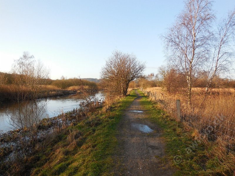 DSCN0415.JPG