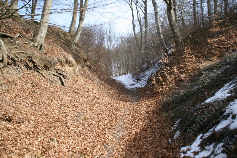 IMG_4665.JPG