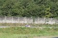 IMG_9284