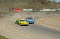 IMG_9713_edited-1