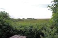IMG_3337