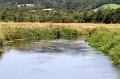 IMG_4793