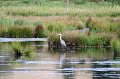 IMG_4801