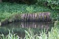 IMG_4816