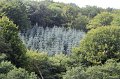 IMG_4820